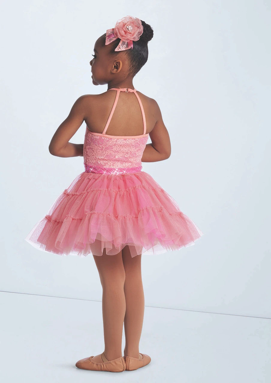 Weissman If You Can Dream 1 Weissman If You Can Dream